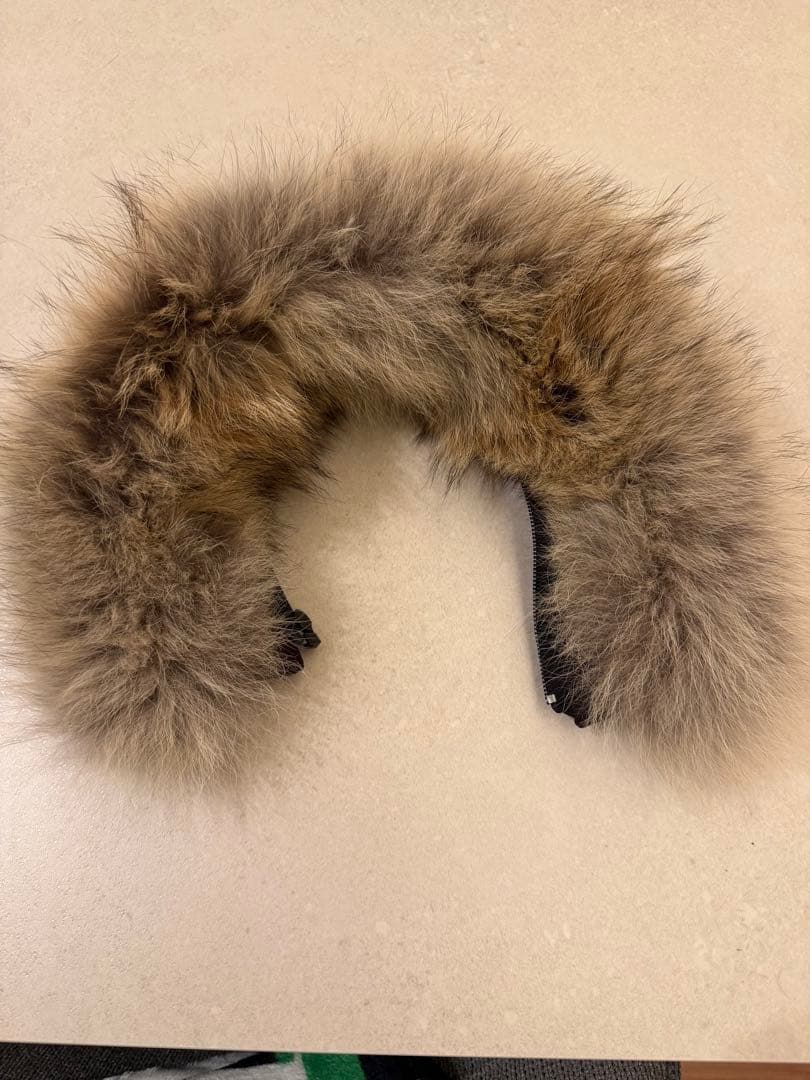   ダウンジャケット フード付き