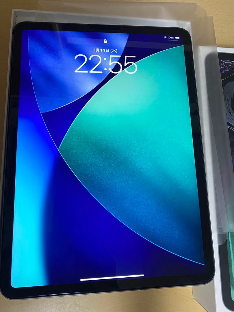 iPad Pro 11インチ (第1世代) 64GB Wi-Fiセルラーモデル