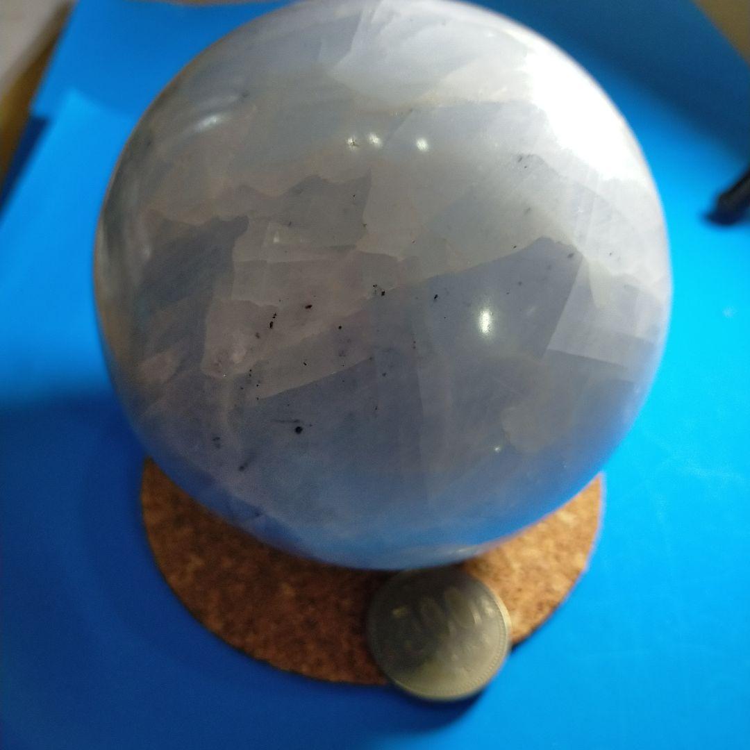 ブルーカルサイト　自信持てるようサポート(購入者特典有り)