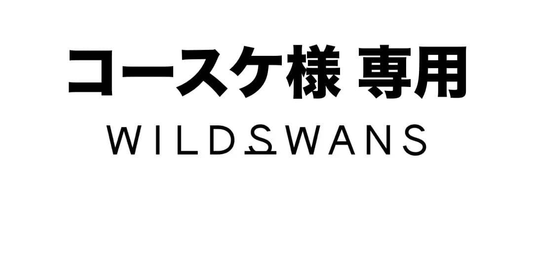 【希少】 WILDSWANS 2025 CASA ワイルドスワンズ カーサ