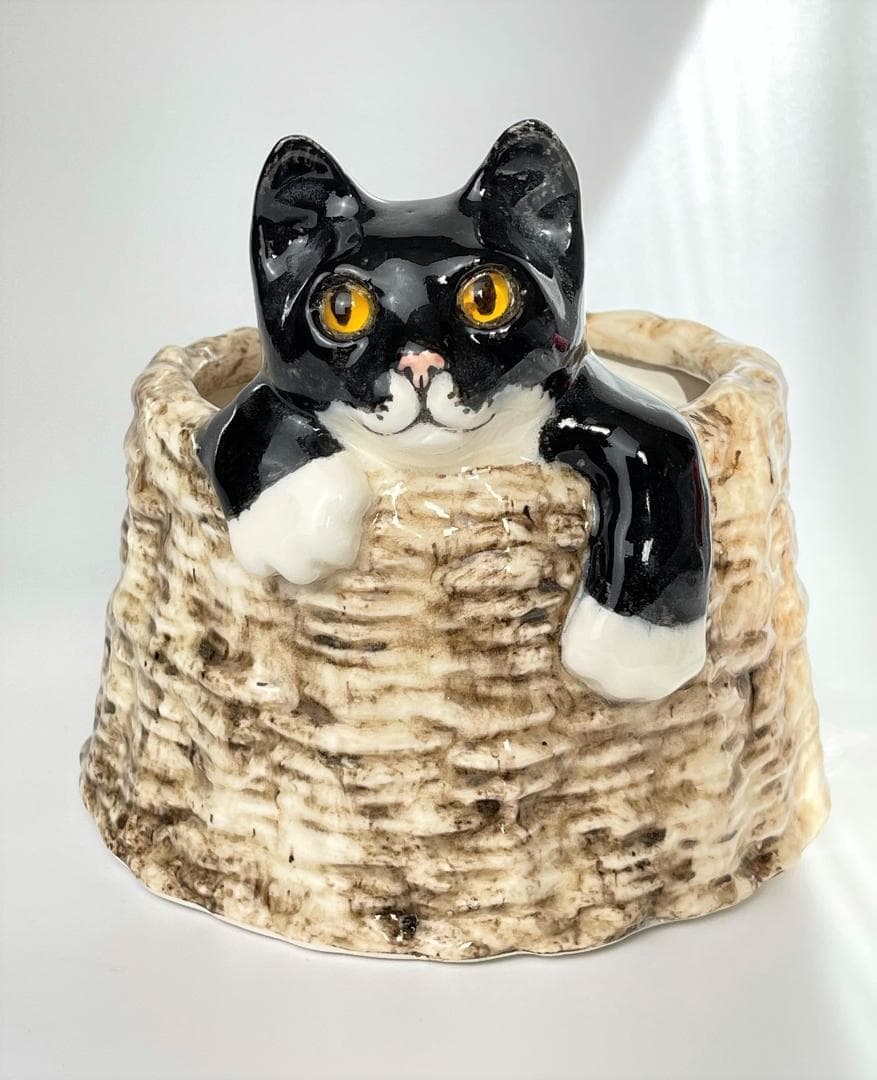 ウィンスタンレイ　ケンジントンキャット　サイズ４