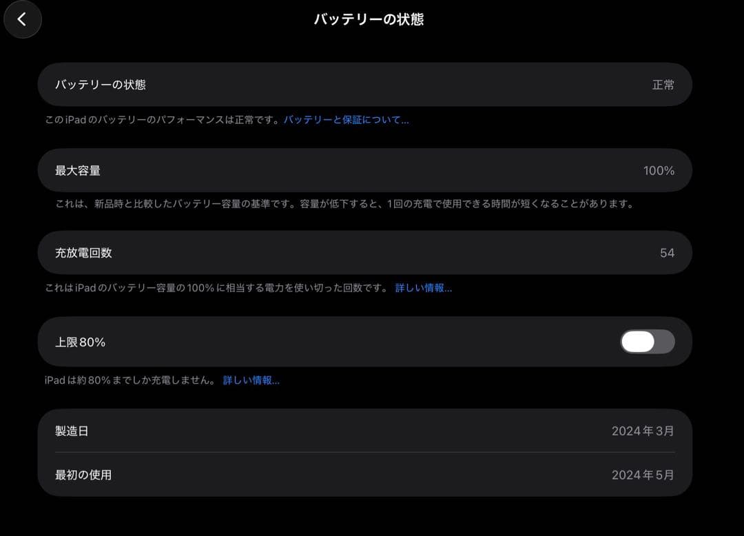 iPad Pro 13インチ M4 512GB 最大容量100%